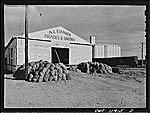 Potato Warehouse, Hereford, Deaf Smith County, Texas