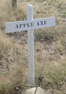 grave marker of Apple Axe
